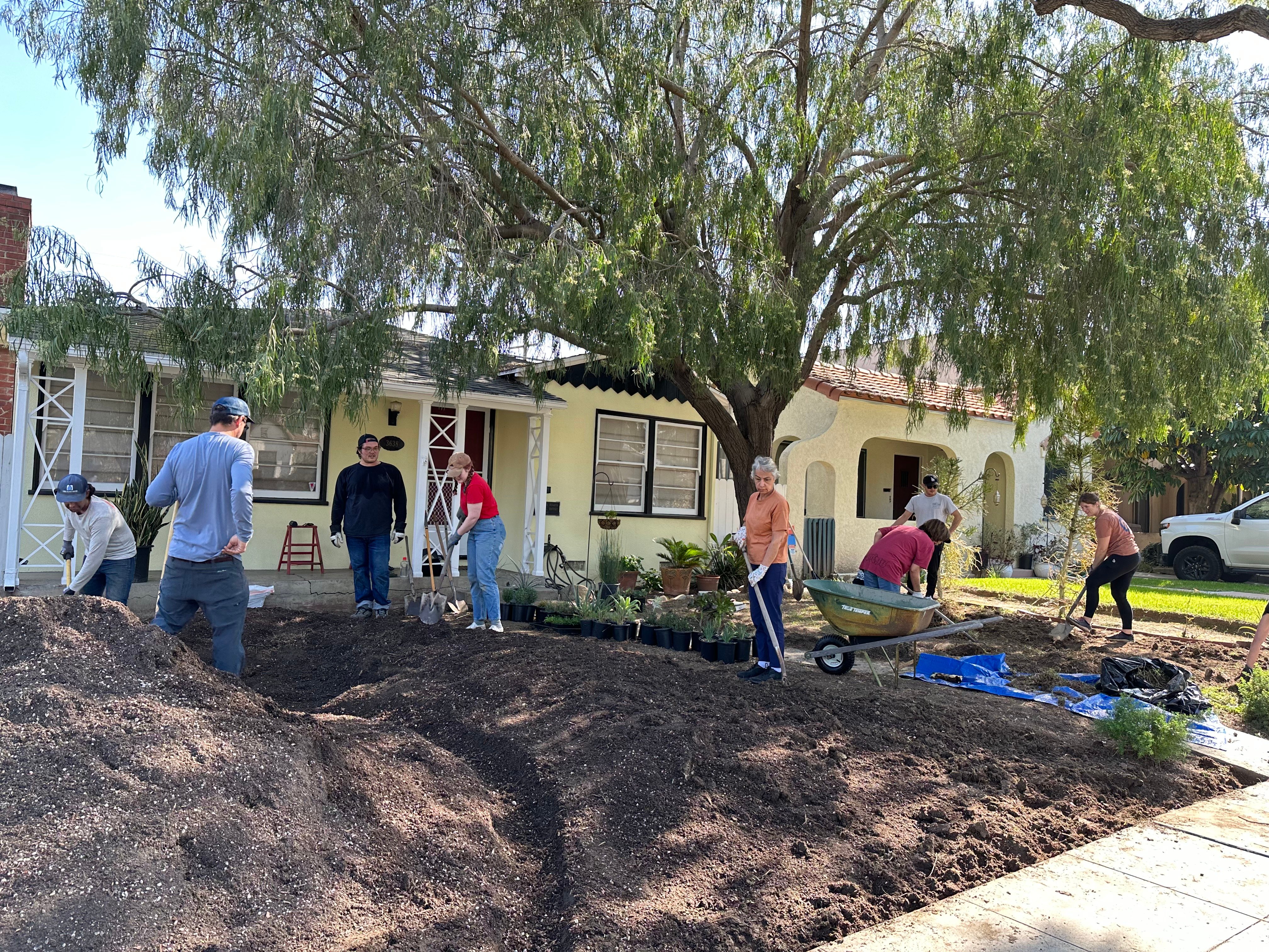 volunteers dig a rain garden
