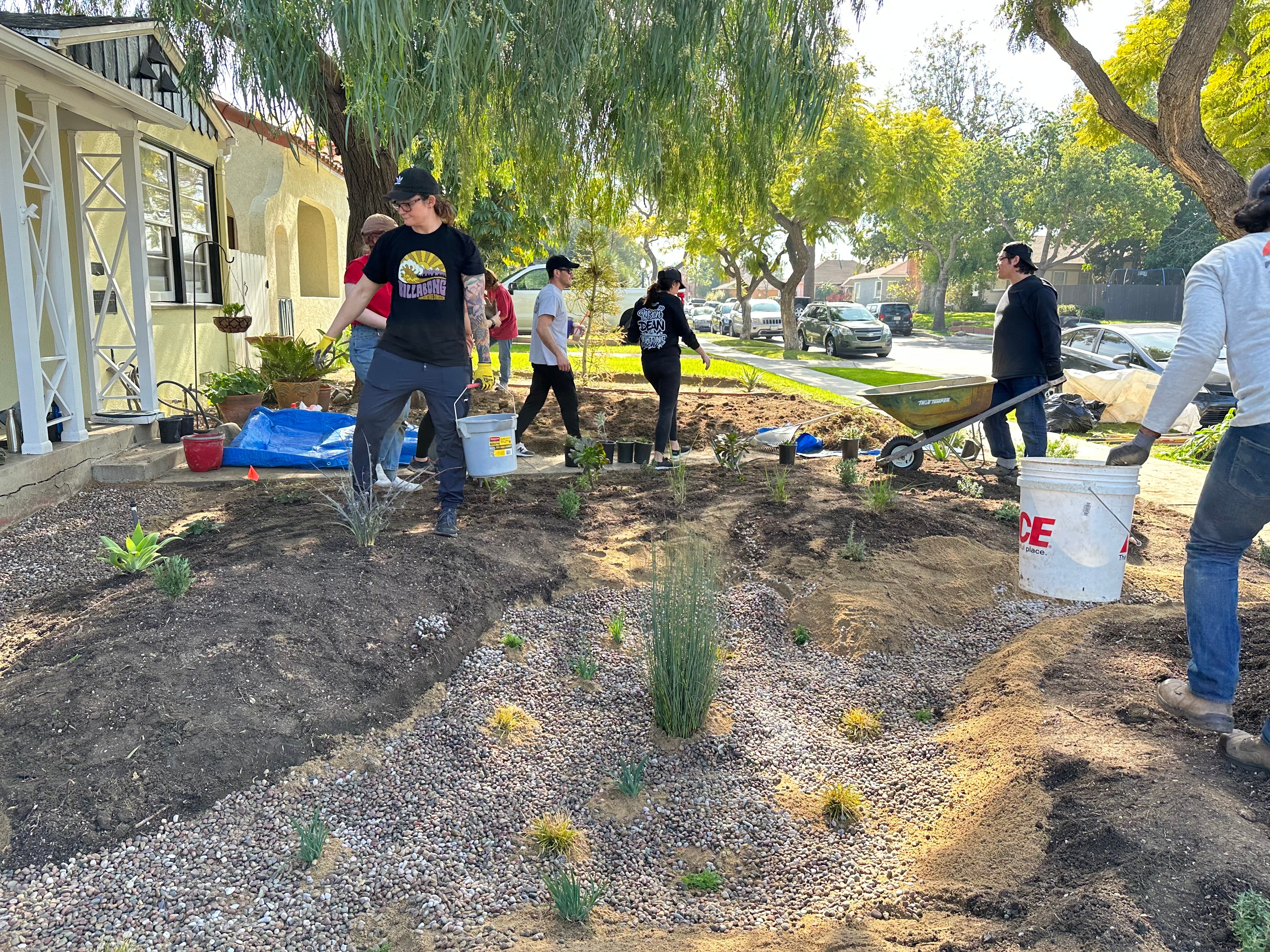 volunteers spread pebbles in the rain garden