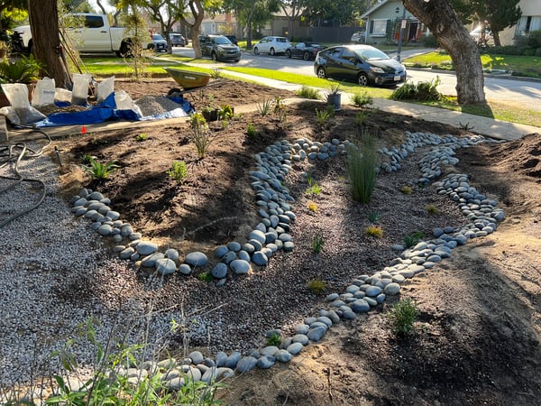 A front yard with a rain garden full of rocks and plants like a natural creek