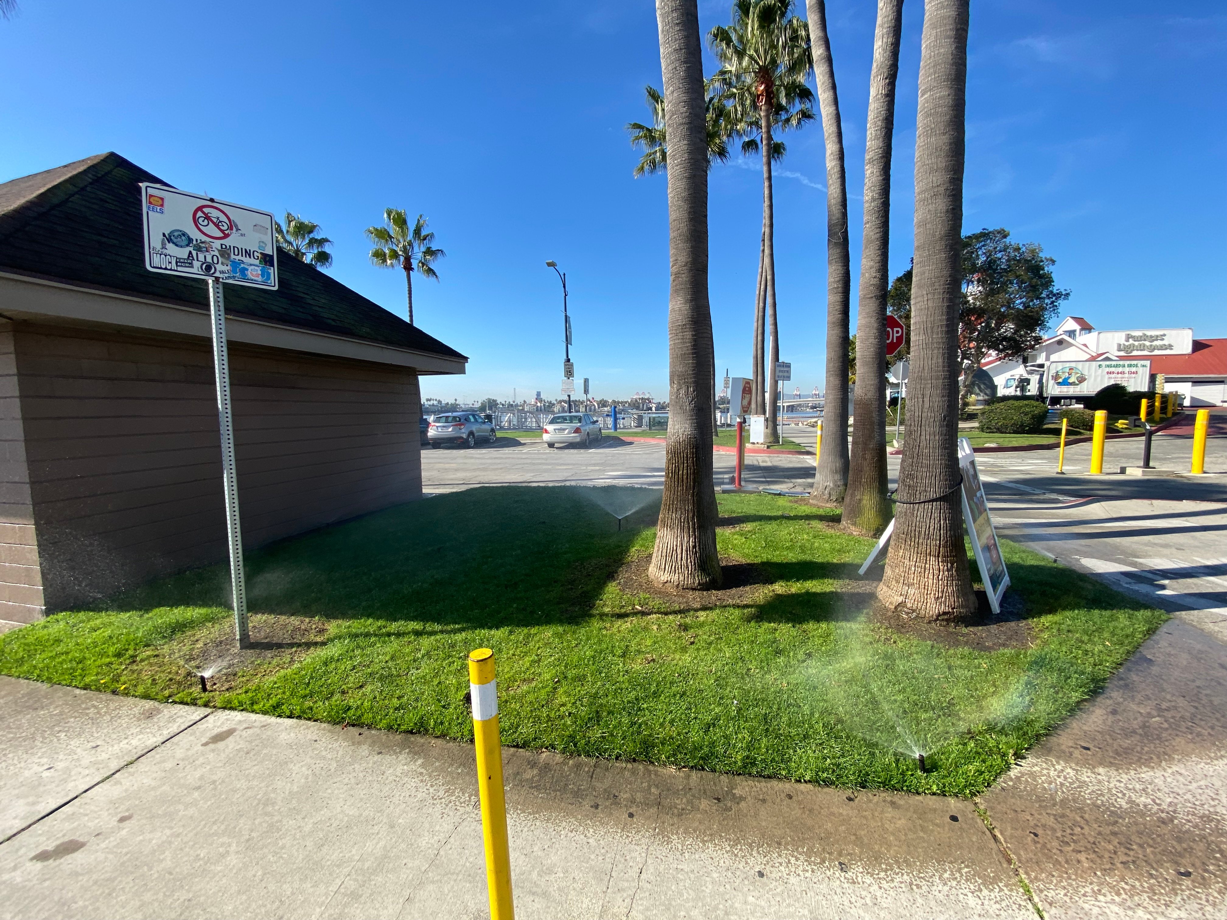 shoreline before with sprinklers