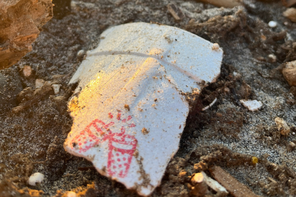 A fragment of a styrofoam cup degrades on the beach near Oceanside Pier.