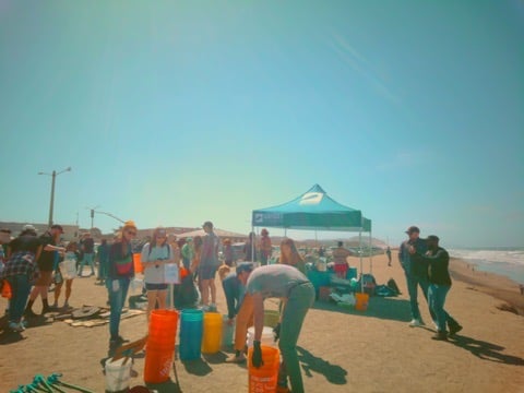People at Ocean Beach preparing buckets before a beach clean up