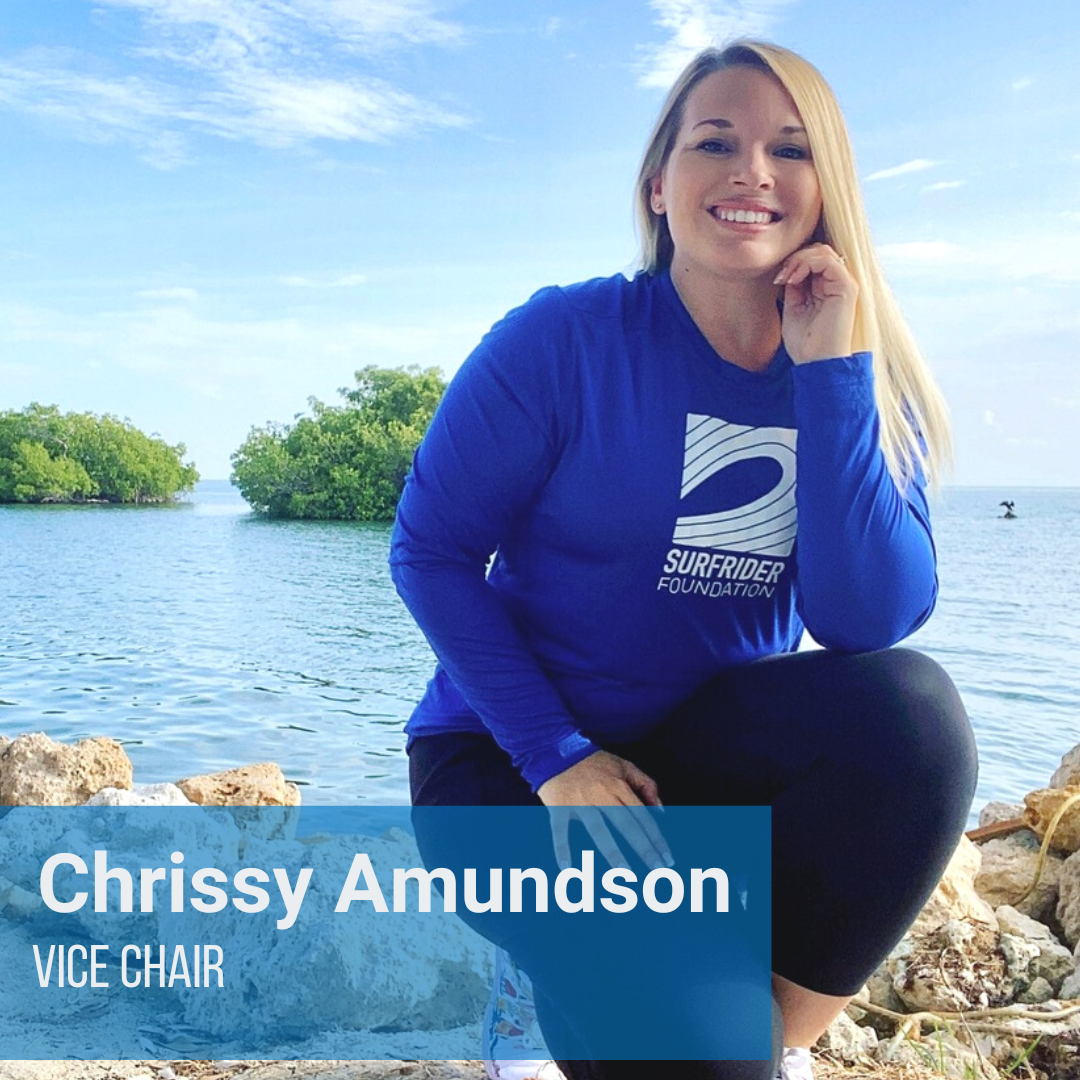 Vice Chair Vice Chair