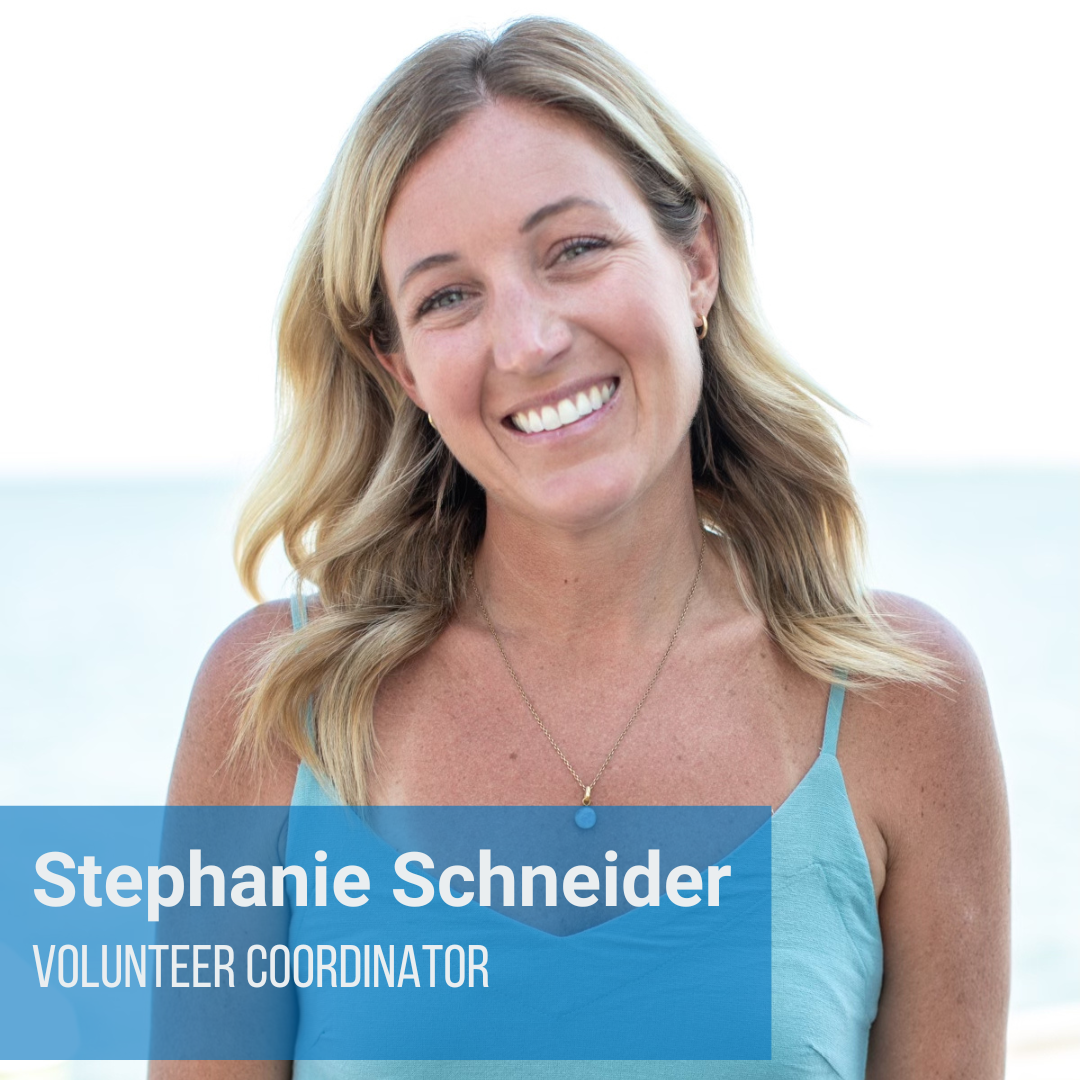 Volunteer Coordinator Volunteer Coordinator