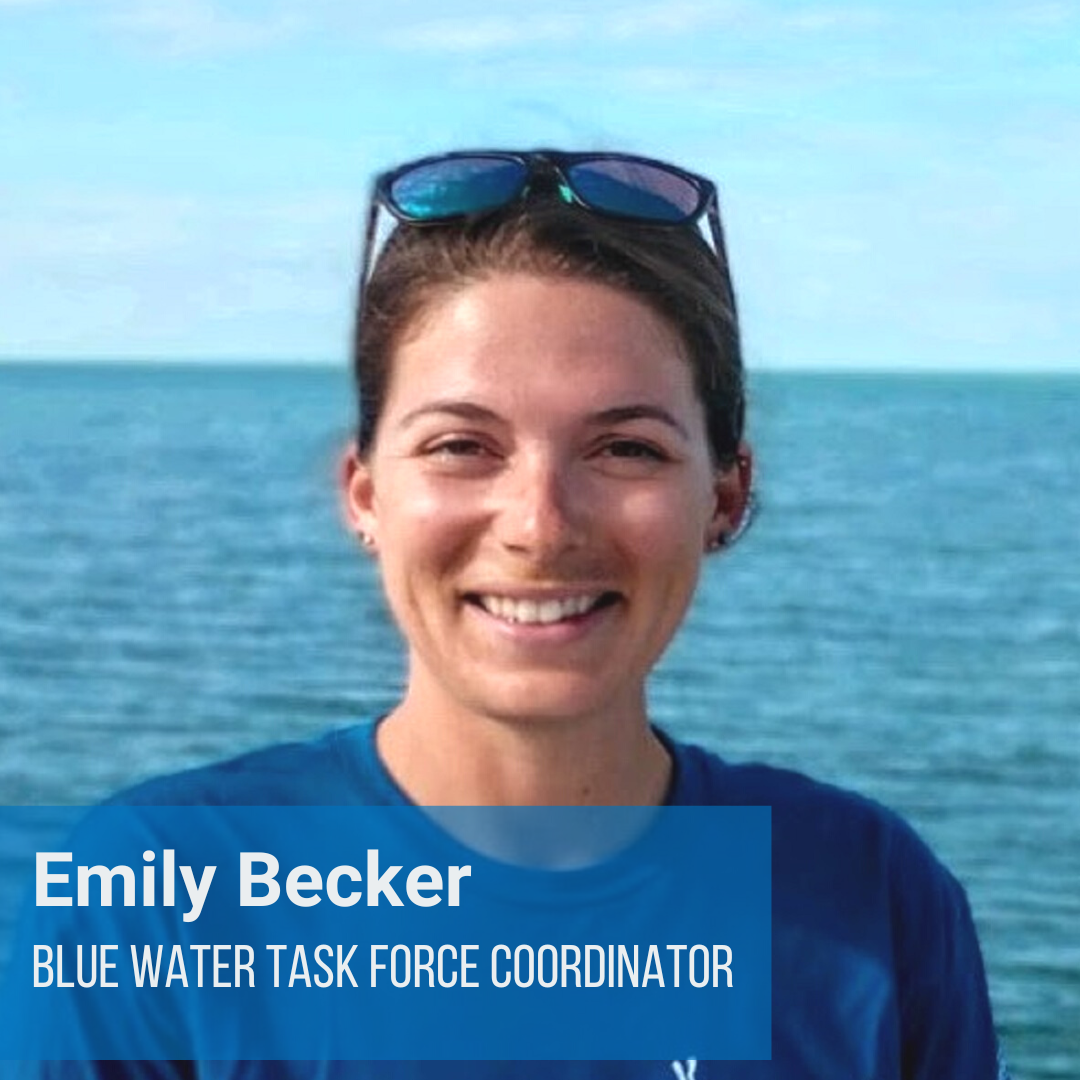 BWTF Coordinator BWTF Coordinator