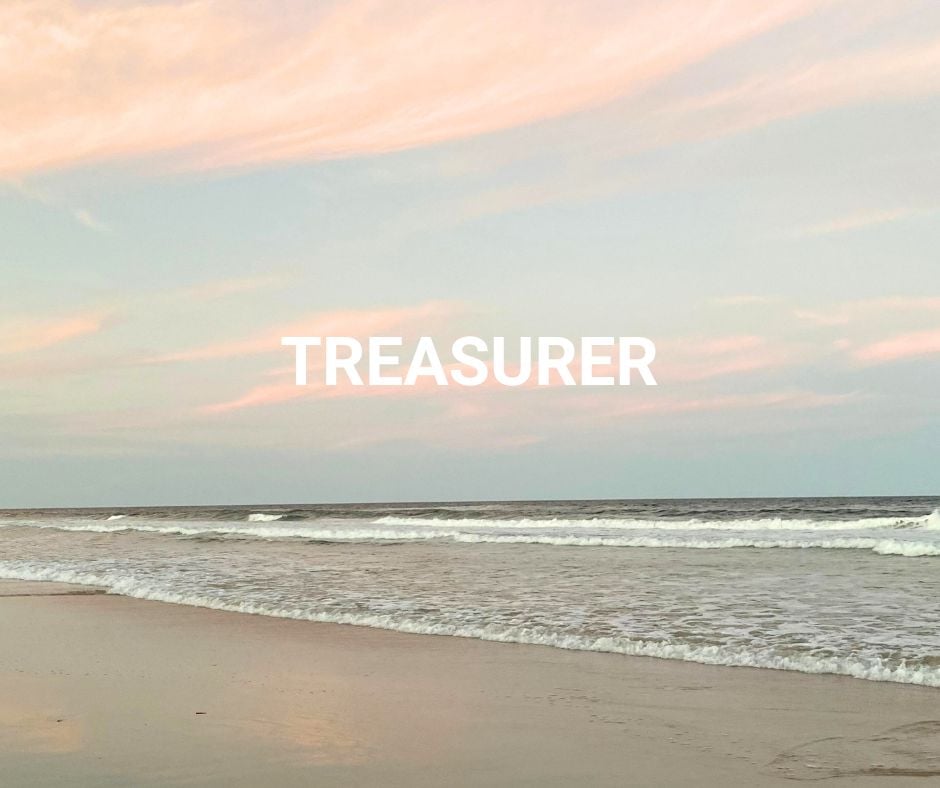 Treasurer, Jen Schesser