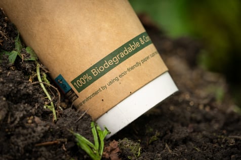 Biodegradable_Coffee_Cup_on_Compost