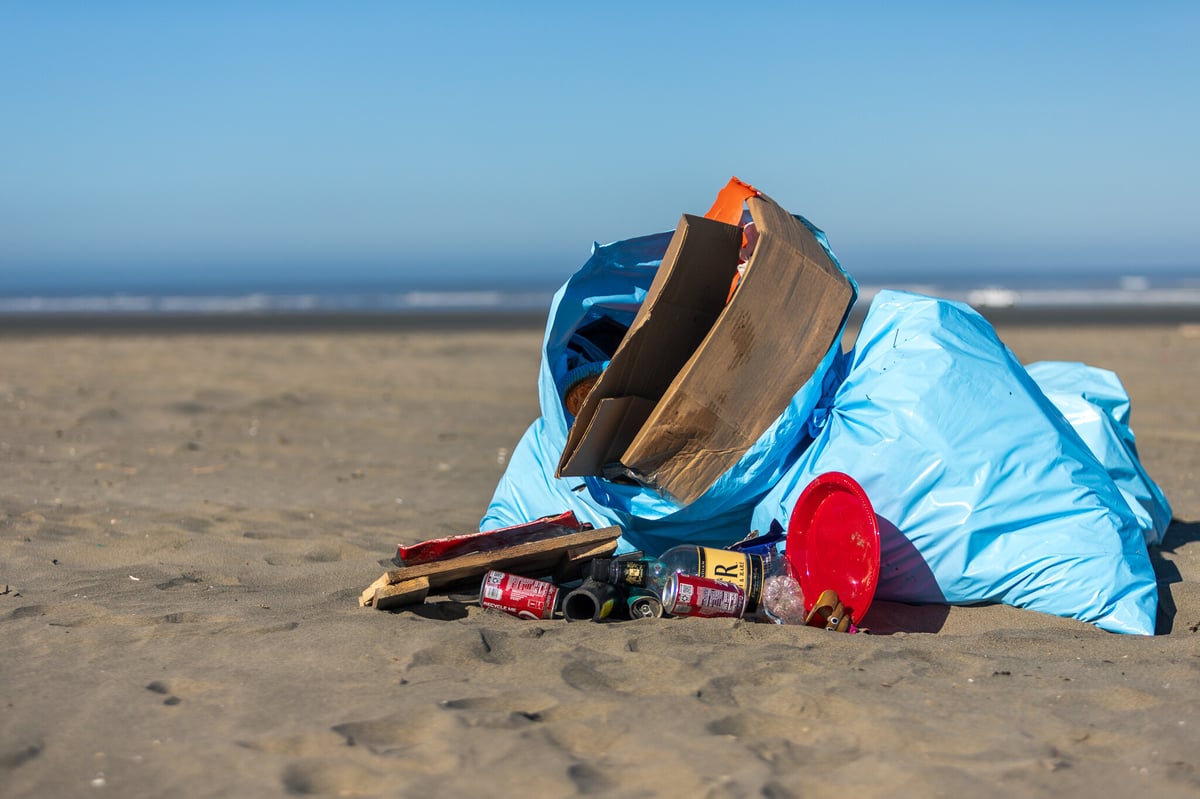 Blue Trash Bag and Litter-1