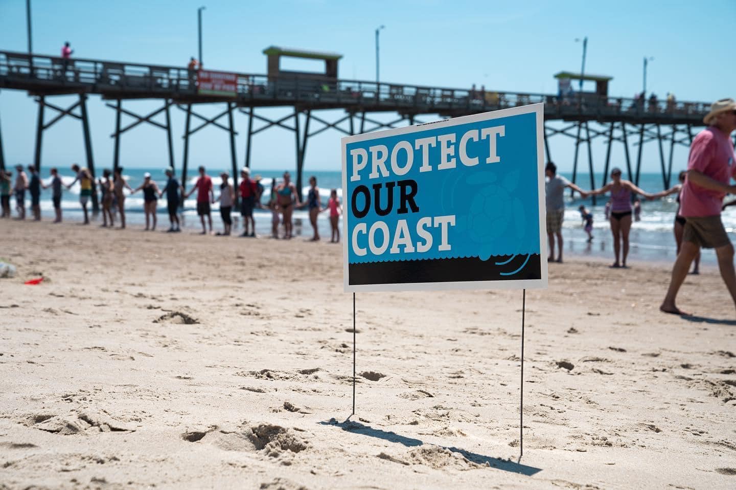Volunteers hold hands across the sand near a protect your coast sign