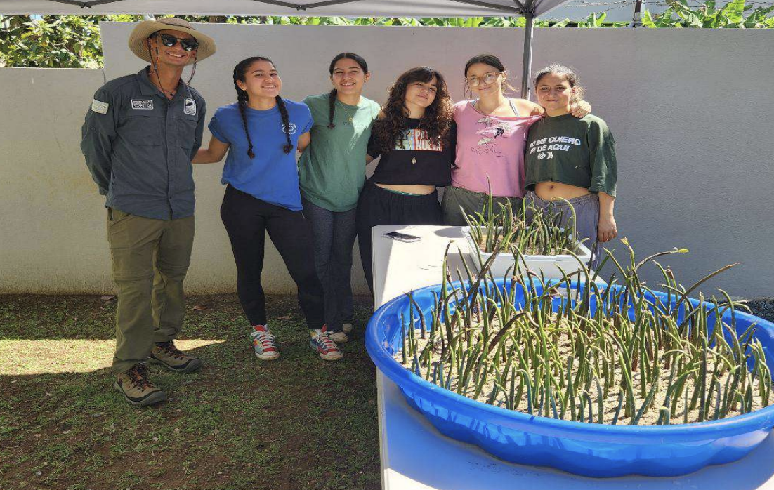 Image source - https://www.surfrider.org/news/mangrove-nursery-takes-root-at-high-schools-across-puerto-rico