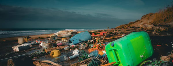 plastic pollution lines a beach with dark clouds overhead