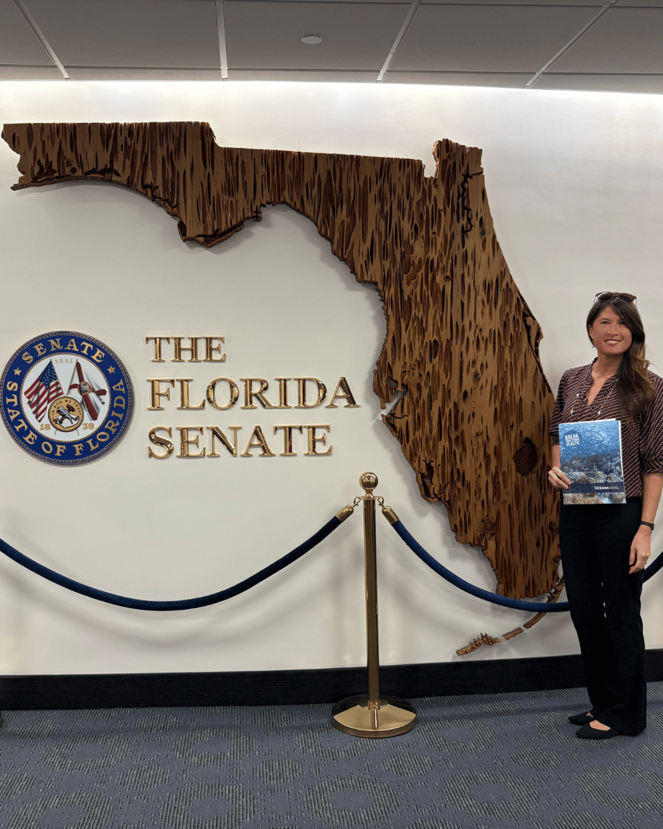 Florida Healthy Beaches Day 3