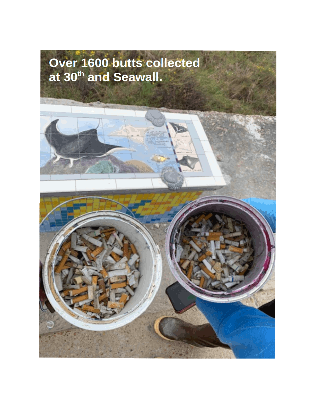 1600-butts-comp-6