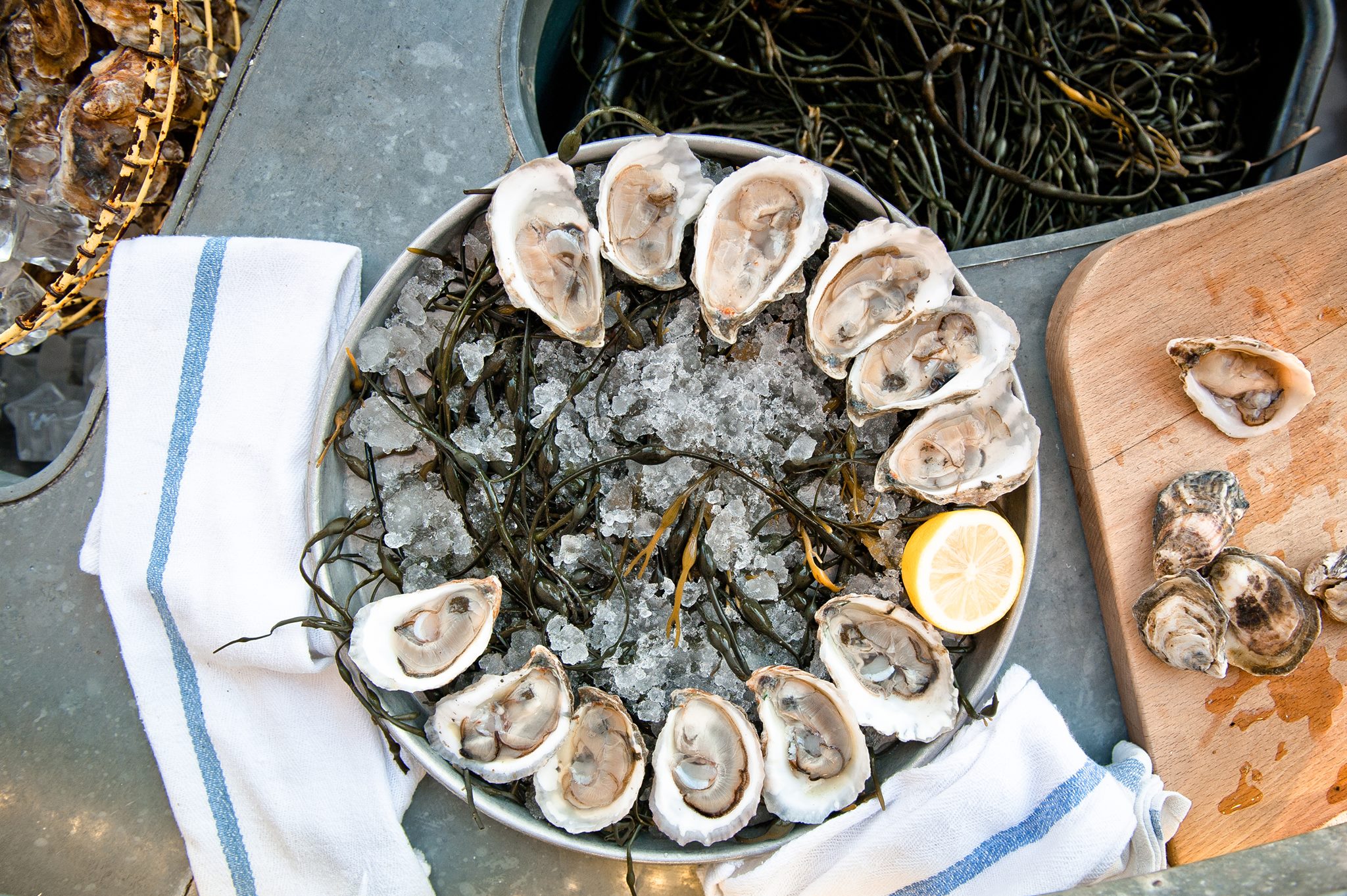 Grand-Banks-Oysters