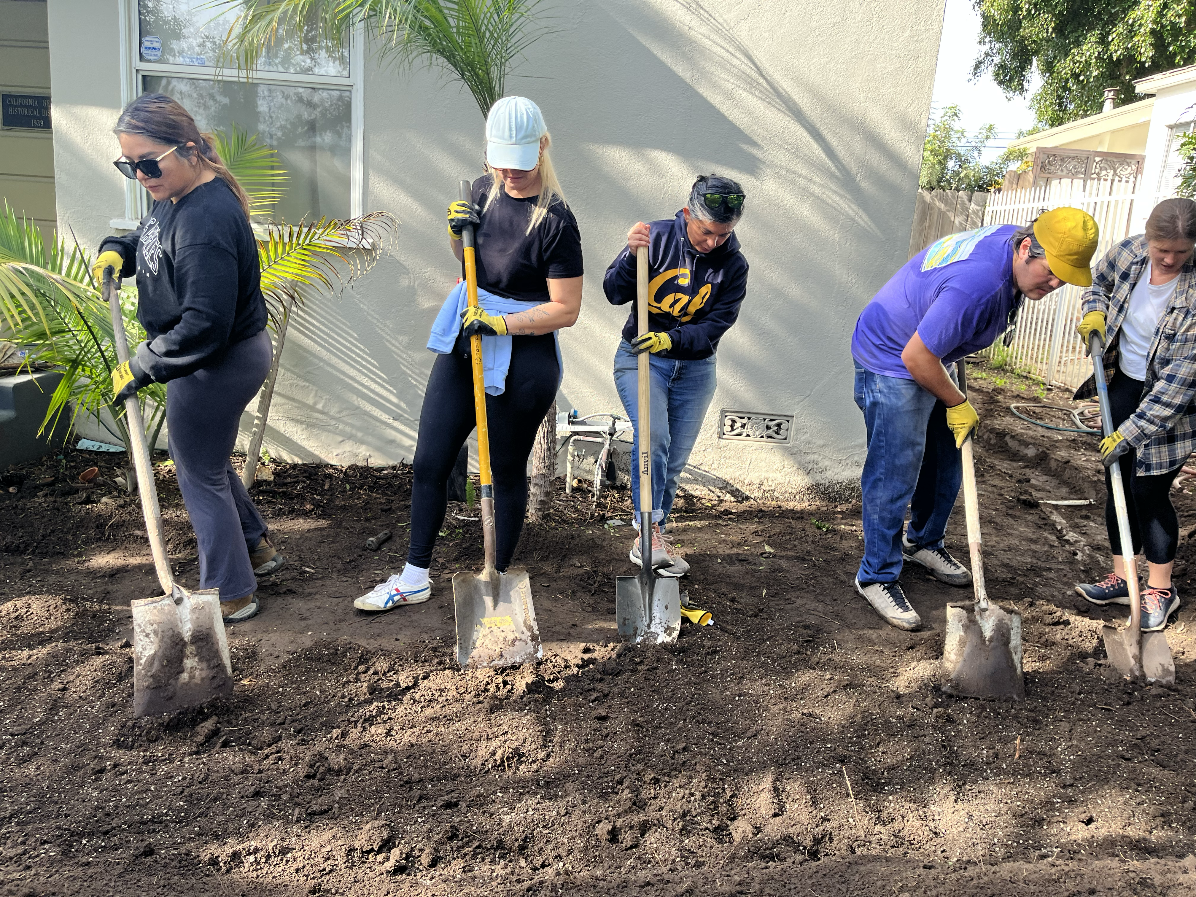 a group of volunteers uses shovels to dig