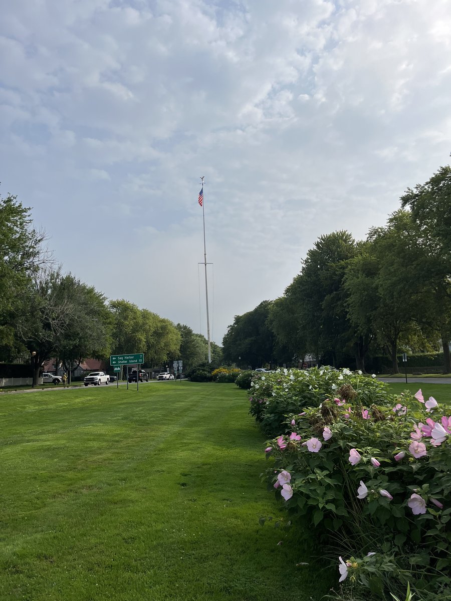 a bioswale rain garden next to the village green in east hampton