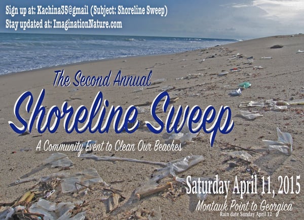 2015 Shoreline Sweep Poster