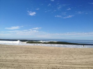 A pristine beach, great waves and clean water are the environment Surfrider is working to maintain.