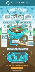 5gyres_microbeads_infographic