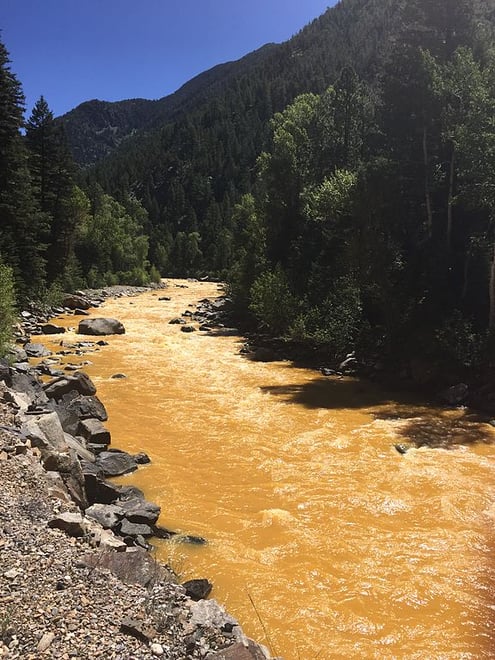 Animas River, between Silverton & Durango, within 24 hours after the 2015 Gold King Mine waste water spill.