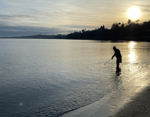 The silhouette of a volunteer collecting a water quality sample in calm waters at sunset  