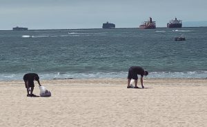 People picking up trash on beach in Long Beach