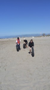 CSU Channel Islands volunteers remove car tires from the beach.