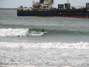 A surfer riding a wave in Westport