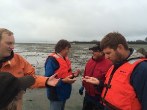 WA Coastal Program Manager Casey Dennehy looks at a Ghost Shrimp that have been causing big challenges to shellfish growing. 