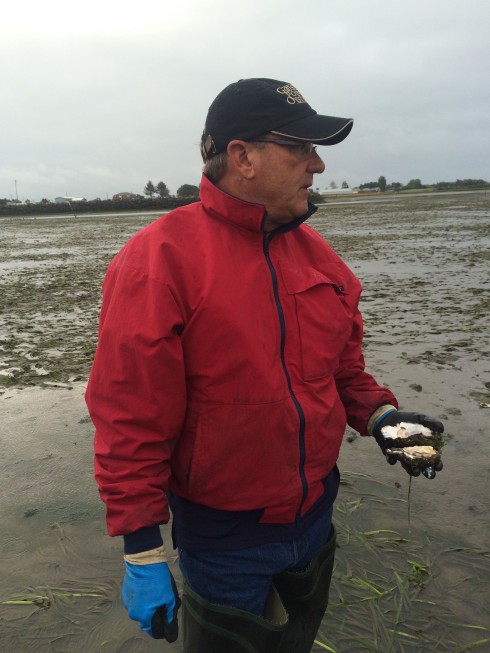Dave Nisbet, Owner of Goose Point Oysters with an oyster in hand.