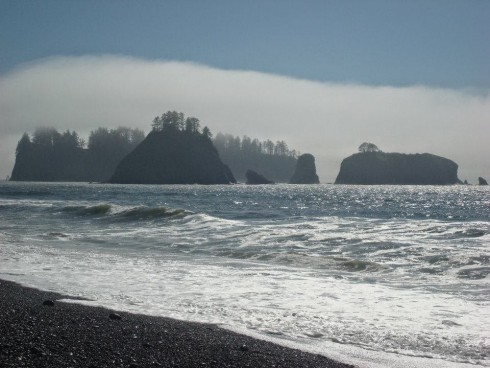 The Washington Coast is a special place with a variety of habitats and human uses.