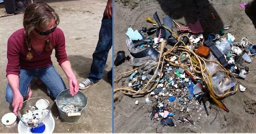 Newport Surfrider volunteer sorts plastic debris at Otter Rock Marine Reserve