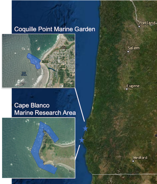 Map of Oregon coast with insets demonstrating where new protected areas are