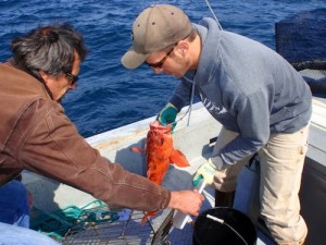 Volunteers with ODFW release rockfish as part of marine reserve monitoring