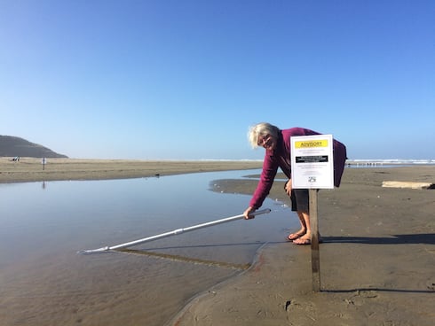Surfrider volunteer Delores Williams samples the creek outfall at Nye Beach