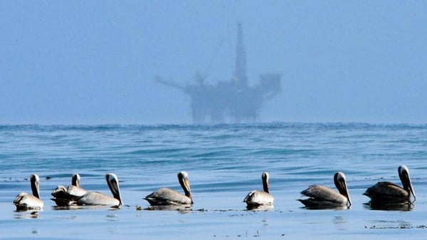 oil rig with pelicans in foreground