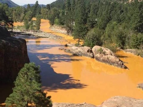 Toxic Sludge Fills the Animas River