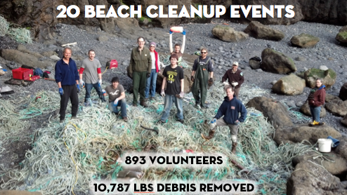 beach_cleanups