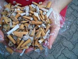 A volunteer holding cigarette butts from a cleanup