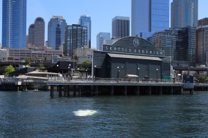 Descending off the Seattle Aquarium