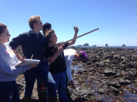 Students find GPS coordinates at Redfish Rocks Marine Reserve for intertidal surveys as part of a citizen science effort with Redfish Rocks Community Team and Surfrider