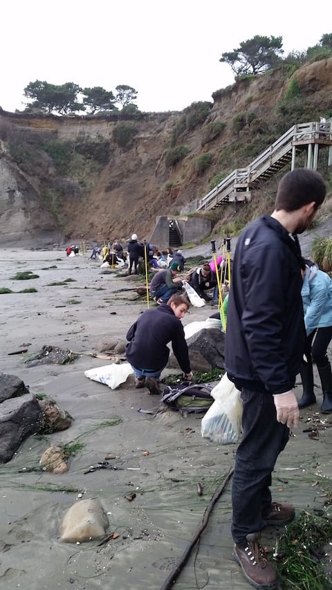 University of Oregon students cleaning up microplastics at Otter Rock