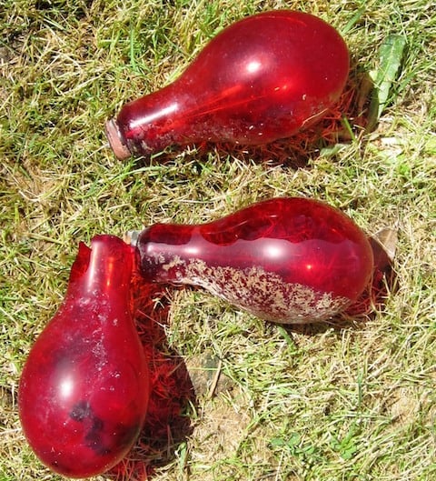 These "squid bulbs" used in commercial squid fishing are a common find