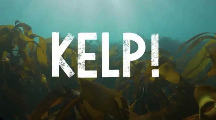 Kelp Film image