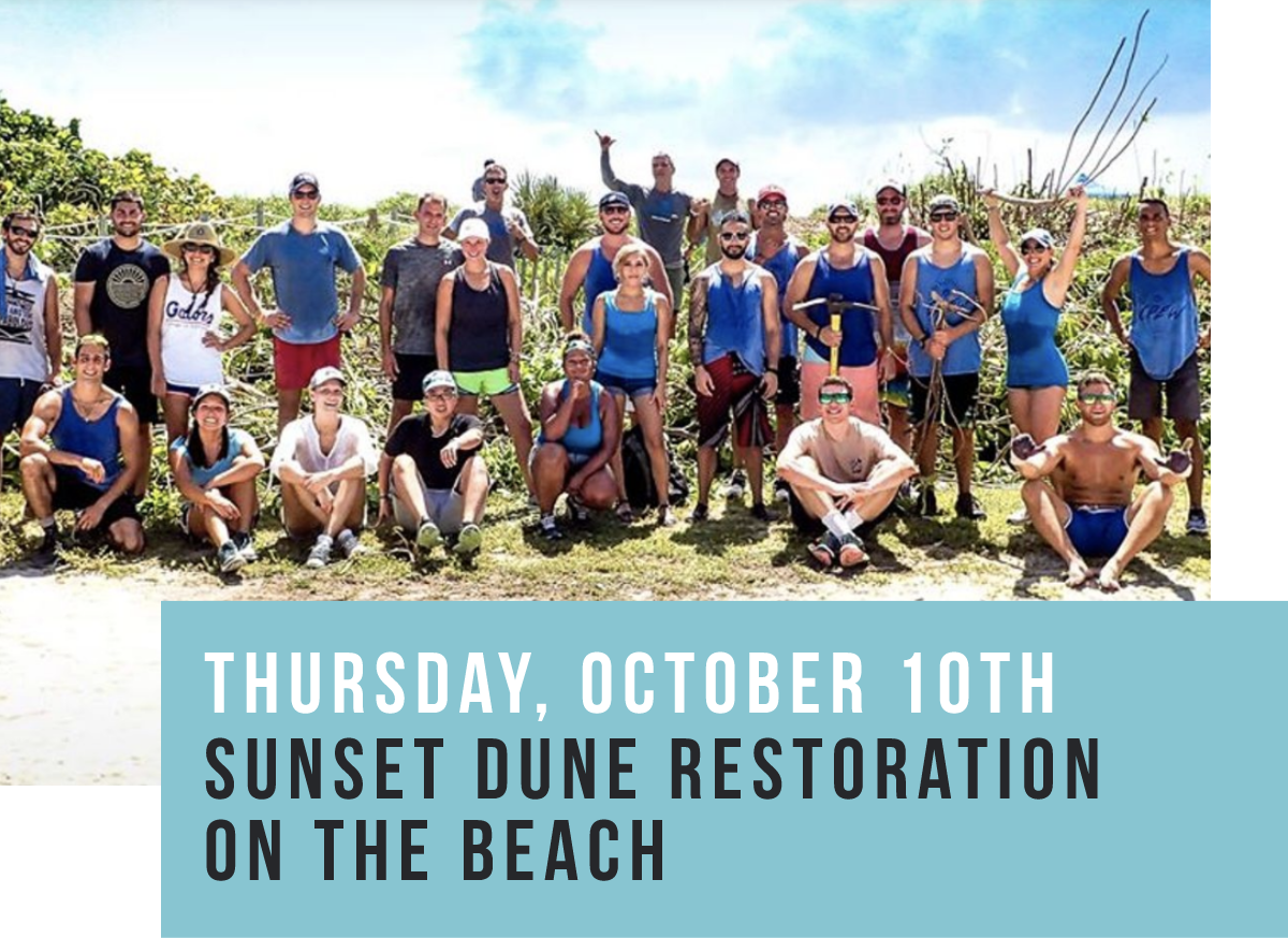 Thursday, October 10th Sunset Dune Restoration on the Beach