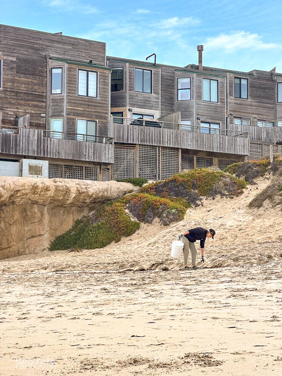 A lone volunteer picks up garbage off the beach with a luxury condominium complex behind her.