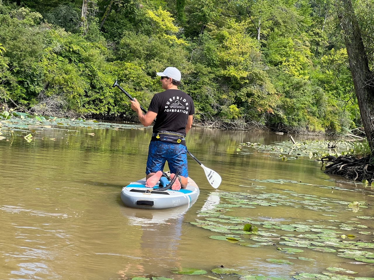 SUP at Old Woman Creek to remove an invasive plant called Frogbit