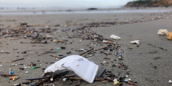 OR - Foam foodware on beach