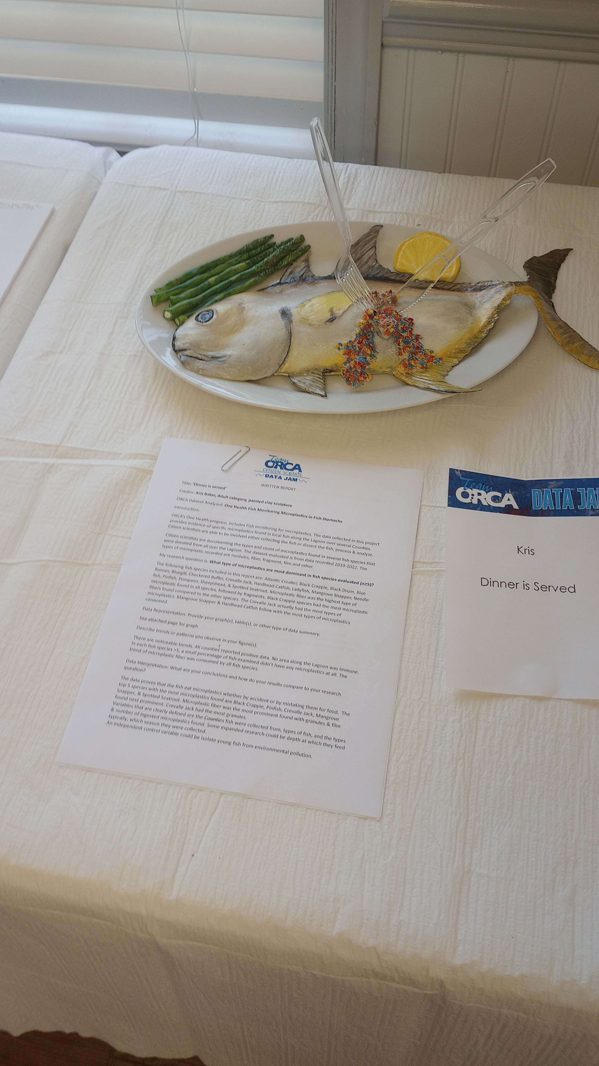 ORCA_Art Competiion 2024 Microplastics in Food