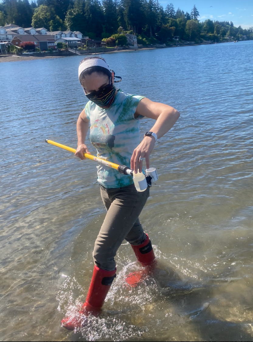 A volunteer in red boots collects a water sample in the shallow waters off of Squaxin Park 